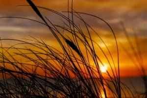 Bilgisayarınız Neden Yavaş? Kalıcı Hızlandırma Çözümleri Rehberi