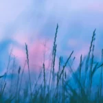 WordPress ile Dijital Varlığınızı Güçlendirin – Profesyonel Site Kurulumunun 5 Anahtarı